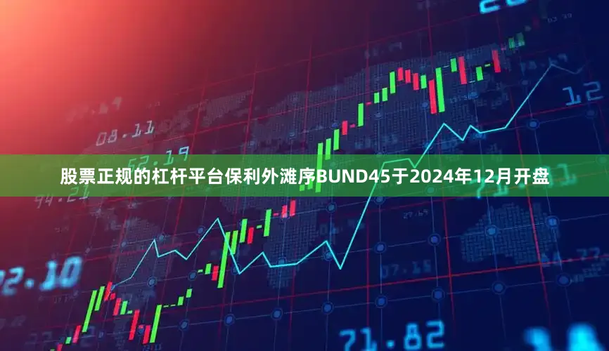 股票正规的杠杆平台保利外滩序BUND45于2024年12月开盘